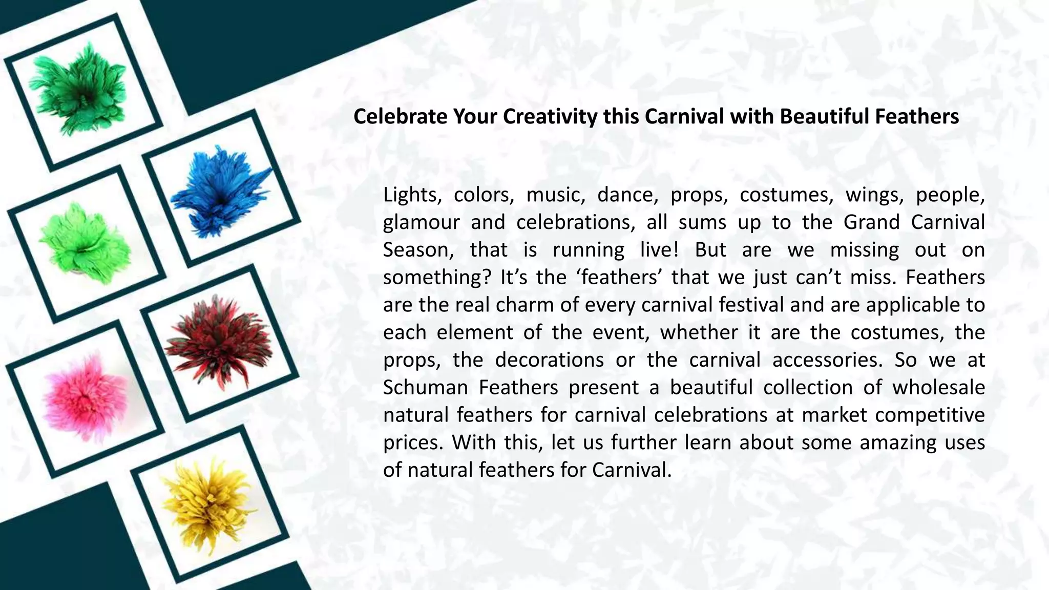 Celebrate Your Creativity this Carnival with Beautiful Feathers
Lights, colors, music, dance, props, costumes, wings, people,
glamour and celebrations, all sums up to the Grand Carnival
Season, that is running live! But are we missing out on
something? It’s the ‘feathers’ that we just can’t miss. Feathers
are the real charm of every carnival festival and are applicable to
each element of the event, whether it are the costumes, the
props, the decorations or the carnival accessories. So we at
Schuman Feathers present a beautiful collection of wholesale
natural feathers for carnival celebrations at market competitive
prices. With this, let us further learn about some amazing uses
of natural feathers for Carnival.
 