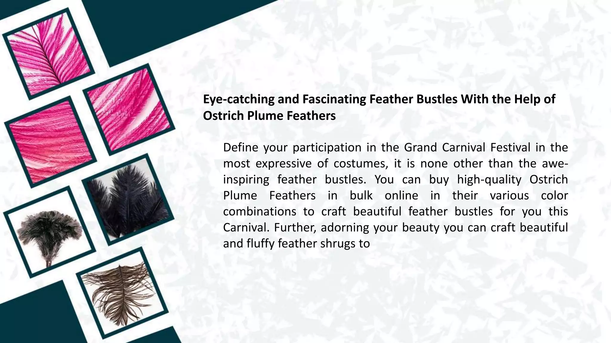 Eye-catching and Fascinating Feather Bustles With the Help of
Ostrich Plume Feathers
Define your participation in the Grand Carnival Festival in the
most expressive of costumes, it is none other than the awe-
inspiring feather bustles. You can buy high-quality Ostrich
Plume Feathers in bulk online in their various color
combinations to craft beautiful feather bustles for you this
Carnival. Further, adorning your beauty you can craft beautiful
and fluffy feather shrugs to
 