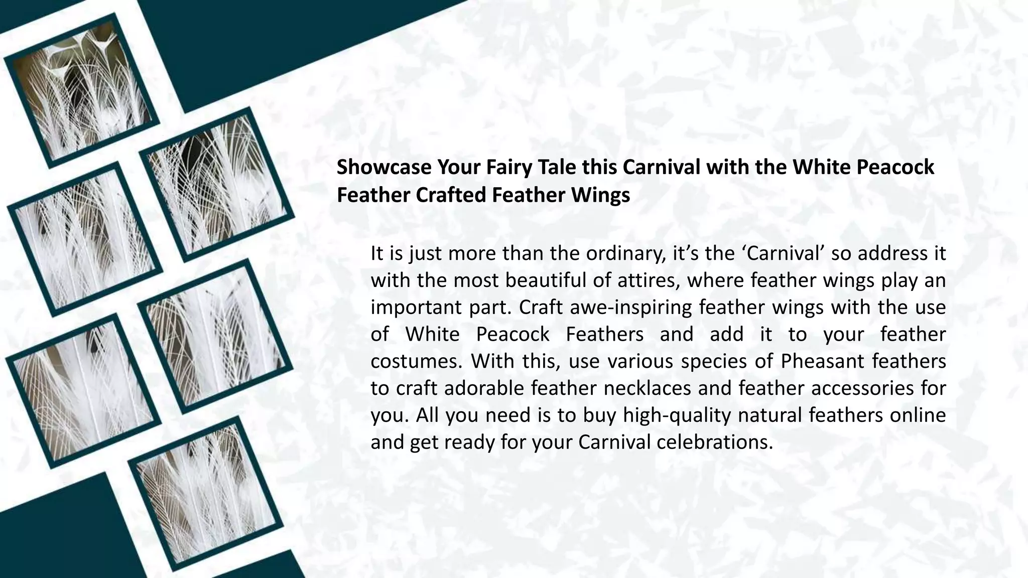 Showcase Your Fairy Tale this Carnival with the White Peacock
Feather Crafted Feather Wings
It is just more than the ordinary, it’s the ‘Carnival’ so address it
with the most beautiful of attires, where feather wings play an
important part. Craft awe-inspiring feather wings with the use
of White Peacock Feathers and add it to your feather
costumes. With this, use various species of Pheasant feathers
to craft adorable feather necklaces and feather accessories for
you. All you need is to buy high-quality natural feathers online
and get ready for your Carnival celebrations.
 