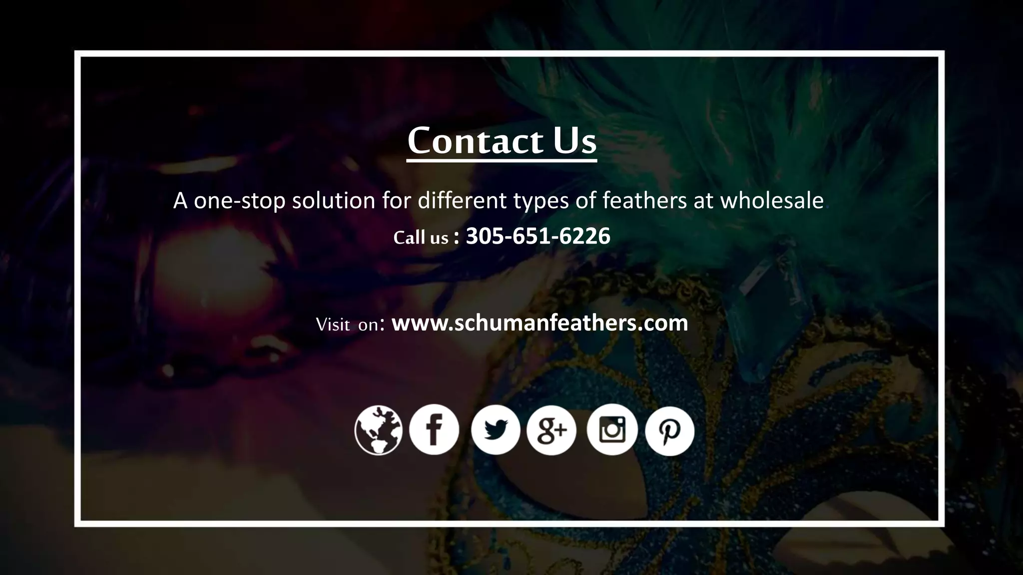 Contact Us
A one-stop solution for different types of feathers at wholesale.
Callus : 305-651-6226
Visit on: www.schumanfeathers.com
 