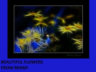 BEAUTIFUL FLOWERSFROM RENNY 