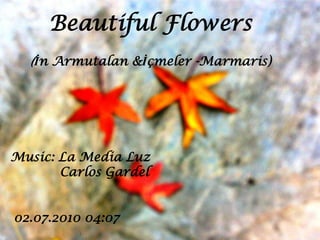 Beautiful Flowers (İn Armutalan &İçmeler -Marmaris) Music: La MediaLuz 13.07.2010 17:11 
