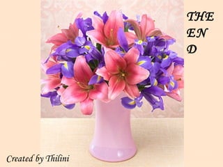 Created by Thilini THE END 