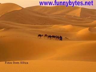 Fotos from África www.funnybytes.net 