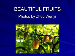 BEAUTIFUL FRUITS Photos by Zhou Wenyi 
