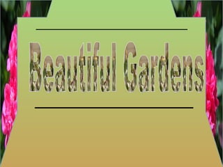 Beautiful Gardens 