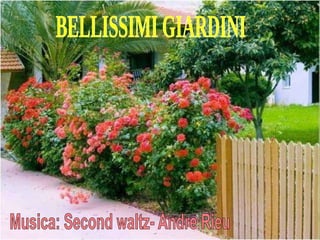 BELLISSIMI GIARDINI Musica: Second waltz- Andre Rieu 