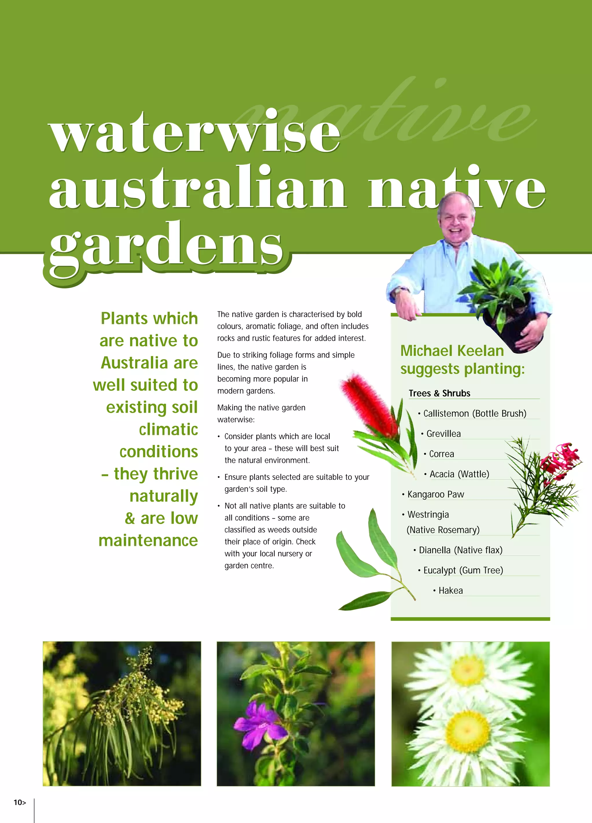SAW14060 NGIA Waterwise Book   8/10/04   11:20 AM     Page 10




                  Plants which             The native garden is characterised by bold
                                           colours, aromatic foliage, and often includes

                 are native to             rocks and rustic features for added interest.

                                           Due to striking foliage forms and simple        Michael Keelan
                  Australia are            lines, the native garden is
                                                                                           suggests planting:
                                           becoming more popular in
                 well suited to            modern gardens.                                  Trees & Shrubs
                   existing soil           Making the native garden
                                                                                               • Callistemon (Bottle Brush)
                                           waterwise:
                        climatic           • Consider plants which are local                   • Grevillea

                     conditions              to your area – these will best suit
                                             the natural environment.
                                                                                                • Correa

                  – they thrive            • Ensure plants selected are suitable to your        • Acacia (Wattle)
                                             garden’s soil type.
                      naturally            • Not all native plants are suitable to
                                                                                           • Kangaroo Paw

                      & are low              all conditions – some are                     • Westringia
                                             classified as weeds outside                    (Native Rosemary)
                 maintenance                 their place of origin. Check
                                                                                             • Dianella (Native flax)
                                             with your local nursery or
                                             garden centre.
                                                                                               • Eucalypt (Gum Tree)

                                                                                                  • Hakea




  10>
 