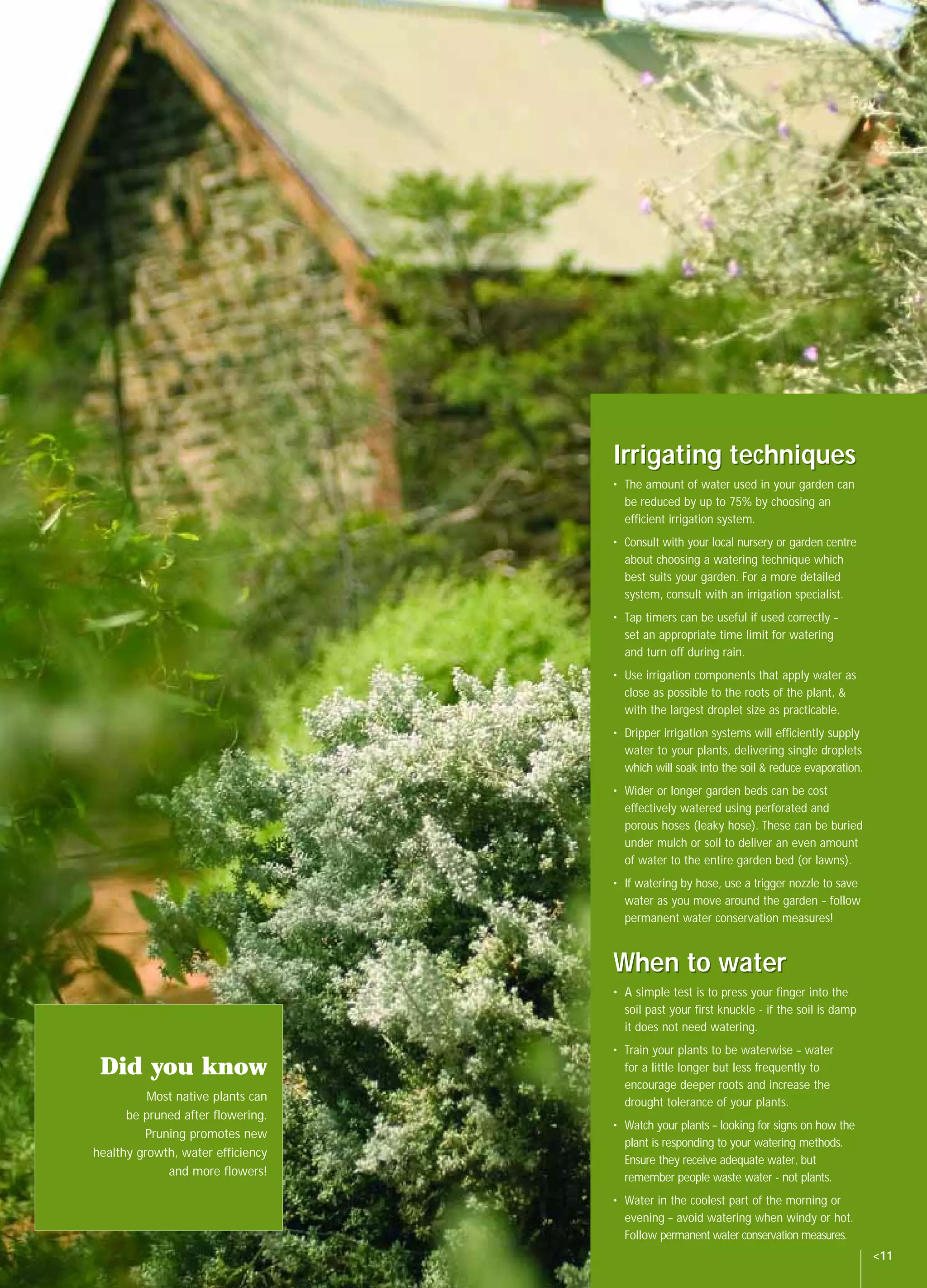 SAW14060 NGIA Waterwise Book         8/10/04   11:20 AM   Page 11




                                                                    Irrigating techniques
                                                                    • The amount of water used in your garden can
                                                                      be reduced by up to 75% by choosing an
                                                                      efficient irrigation system.
                                                                    • Consult with your local nursery or garden centre
                                                                      about choosing a watering technique which
                                                                      best suits your garden. For a more detailed
                                                                      system, consult with an irrigation specialist.
                                                                    • Tap timers can be useful if used correctly –
                                                                      set an appropriate time limit for watering
                                                                      and turn off during rain.
                                                                    • Use irrigation components that apply water as
                                                                      close as possible to the roots of the plant, &
                                                                      with the largest droplet size as practicable.
                                                                    • Dripper irrigation systems will efficiently supply
                                                                      water to your plants, delivering single droplets
                                                                      which will soak into the soil & reduce evaporation.
                                                                    • Wider or longer garden beds can be cost
                                                                      effectively watered using perforated and
                                                                      porous hoses (leaky hose). These can be buried
                                                                      under mulch or soil to deliver an even amount
                                                                      of water to the entire garden bed (or lawns).
                                                                    • If watering by hose, use a trigger nozzle to save
                                                                      water as you move around the garden – follow
                                                                      permanent water conservation measures!


                                                                    When to water
                                                                    • A simple test is to press your finger into the
                                                                      soil past your first knuckle - if the soil is damp
                                                                      it does not need watering.
                                                                    • Train your plants to be waterwise – water
           Did you know                                               for a little longer but less frequently to
                                                                      encourage deeper roots and increase the
                    Most native plants can                            drought tolerance of your plants.
                be pruned after flowering.
                                                                    • Watch your plants – looking for signs on how the
                   Pruning promotes new
                                                                      plant is responding to your watering methods.
          healthy growth, water efficiency
                                                                      Ensure they receive adequate water, but
                       and more flowers!                              remember people waste water - not plants.
                                                                    • Water in the coolest part of the morning or
                                                                      evening – avoid watering when windy or hot.
                                                                      Follow permanent water conservation measures.
                                                                                                                            <11
 