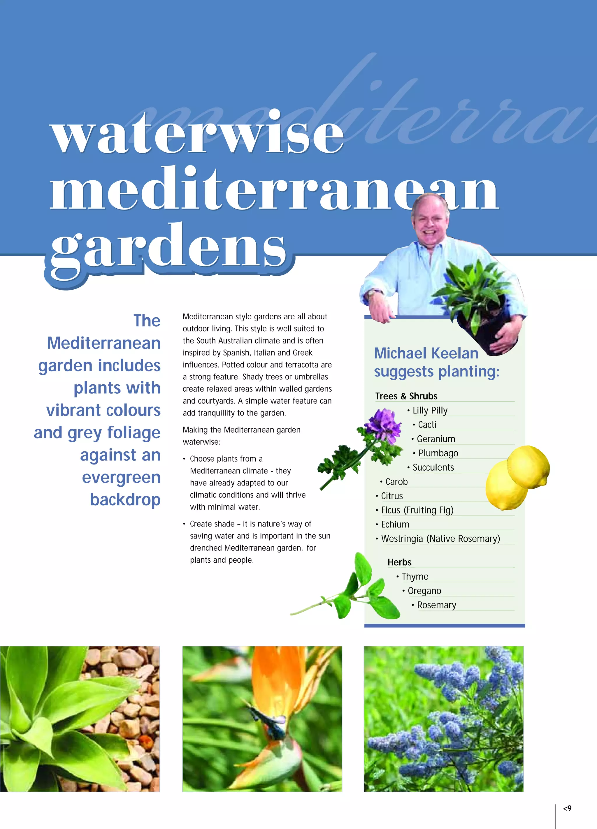 SAW14060 NGIA Waterwise Book   8/10/04   11:20 AM        Page 9




                   The             Mediterranean style gardens are all about
                                   outdoor living. This style is well suited to

       Mediterranean               the South Australian climate and is often
                                   inspired by Spanish, Italian and Greek         Michael Keelan
      garden includes              influences. Potted colour and terracotta are
                                   a strong feature. Shady trees or umbrellas     suggests planting:
           plants with             create relaxed areas within walled gardens
                                                                                  Trees & Shrubs
                                   and courtyards. A simple water feature can
       vibrant colours             add tranquillity to the garden.                           • Lilly Pilly
                                                                                              • Cacti
     and grey foliage              Making the Mediterranean garden
                                   waterwise:                                                 • Geranium
            against an             • Choose plants from a
                                                                                              • Plumbago
                                     Mediterranean climate - they                            • Succulents
            evergreen                have already adapted to our                   • Carob

             backdrop                climatic conditions and will thrive
                                     with minimal water.
                                                                                  • Citrus
                                                                                  • Ficus (Fruiting Fig)
                                   • Create shade – it is nature’s way of         • Echium
                                     saving water and is important in the sun     • Westringia (Native Rosemary)
                                     drenched Mediterranean garden, for
                                     plants and people.                              Herbs
                                                                                        • Thyme
                                                                                         • Oregano
                                                                                              • Rosemary




                                                                                                                   <9
 