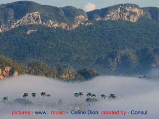 pictures -  www.  music  -  Celine Dion  created by -  Consul 