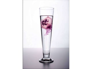 Beautiful insects photography-(catherine)