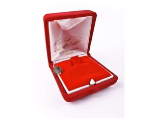 Beautiful insects photography-(catherine)