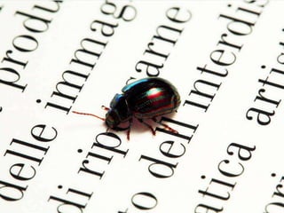 Beautiful insects photography-(catherine)