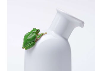 Beautiful insects photography-(catherine)