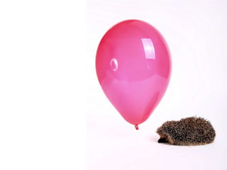 Beautiful insects photography-(catherine)