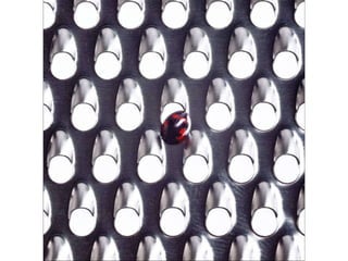 Beautiful insects photography-(catherine)