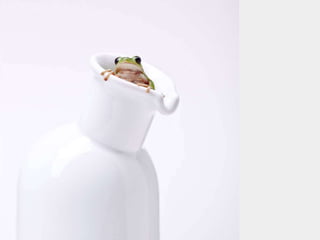 Beautiful insects photography-(catherine)