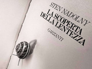 Beautiful insects photography-(catherine)