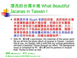 漂亮的台灣水雉 What Beautiful Jacanas in Taiwan ! ,[object Object],[object Object],編輯 :Merlinkuo  英文 :CYKuo  E.Mail:merlinkuo01234@gmail.com 