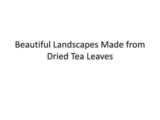 Beautiful Landscapes Made from
        Dried Tea Leaves
 