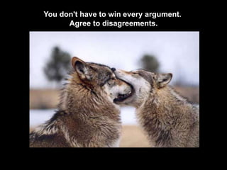 You don't have to win every argument.
Agree to disagreements.
 