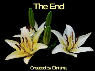 The End Created by Dinisha 