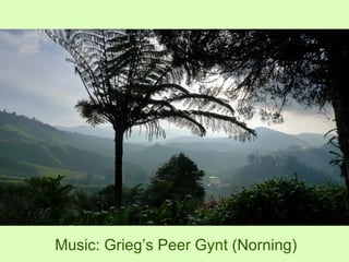 Music: Grieg’s Peer Gynt (Norning) 