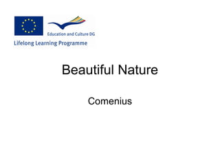 Beautiful Nature

    Comenius
 