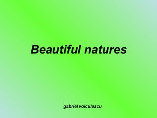 Beautiful natures gabriel voiculescu 