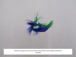 I chose this paper because the colors of the feathers were bright and cheery.
-Kendall
 