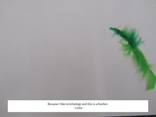Because I like ornithology and this is a feather.
-Colin
 