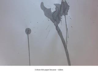 I chose this paper because - Aiden
 