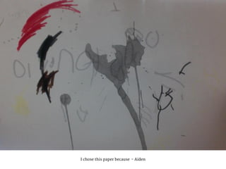 I chose this paper because - Aiden
 