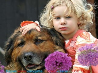 Képek  www. válogatta  Consul – zene -  Bob  Dylan   