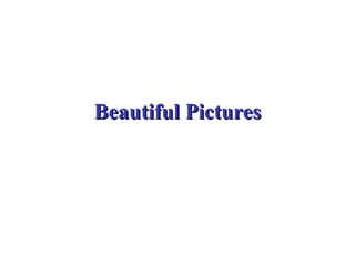 Beautiful Pictures 