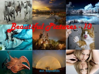 Beautiful Pictures - 10



        aut. kpvlts
 