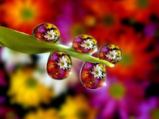 Beautiful pictures