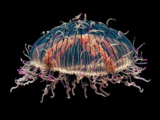 Beautiful pictures