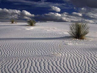 Beautiful pictures