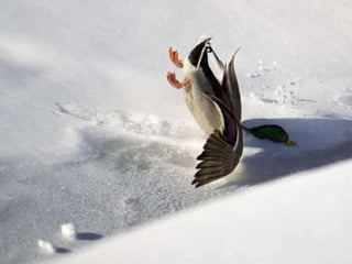 Beautiful pictures