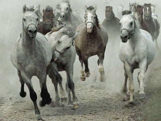 Beautiful pictures