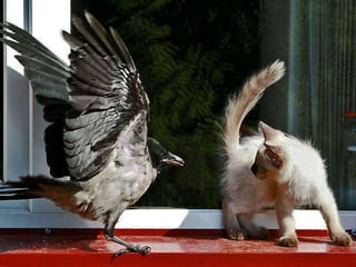 Beautiful pictures