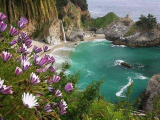 Beautiful pictures