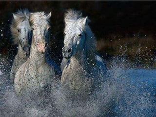 Beautiful pictures