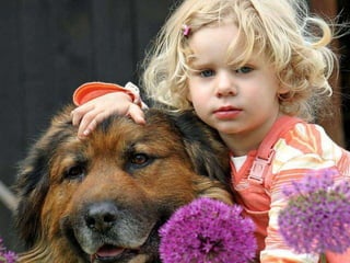 Beautiful pictures