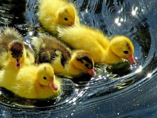 Beautiful pictures