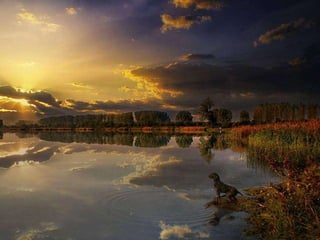 Beautiful pictures