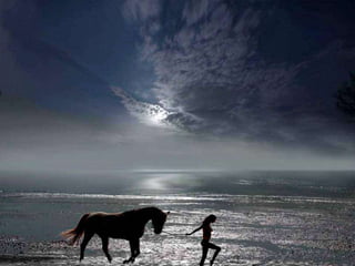 Beautiful pictures