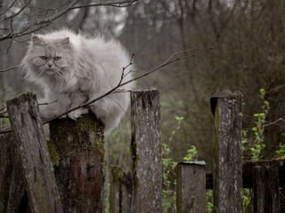 Beautiful pictures